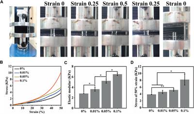 Preparation of a 3D printable high-performance GelMA hydrogel loading with magnetic cobalt ferrite nanoparticles